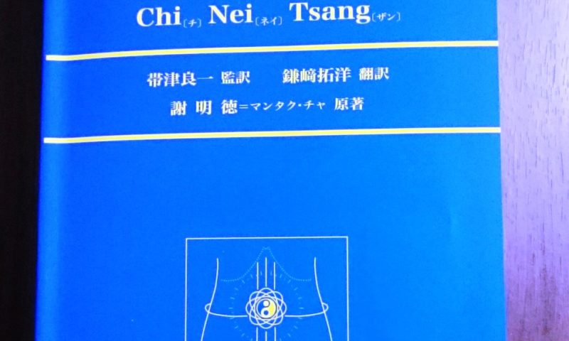 最安値挑戦】 気内臓療法 チネイザン‥‥謝明徳 タオ drenriquejmariani.com