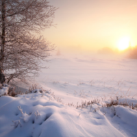 2月は巡りを整えて春に備える 内臓デトックスとリンパケア