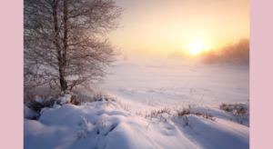 2月は巡りを整えて春に備える 内臓デトックスとリンパケア